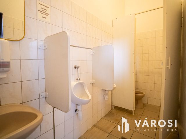Saját birtok Szarvason