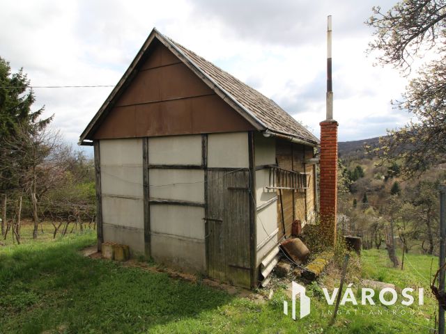 Borkedvelők kőszegi panorámás szőlőse, gyümölcsöse
