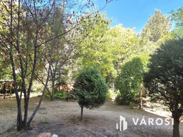 Ritka lehetőség földszinti lakás a Nagyerdő szívében!
